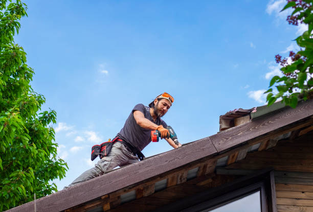 Best Asphalt Shingle Roofing  in Hope, AR
